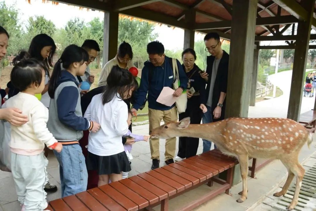 协作者童缘 | 大手拉小手，探秘野生动物王国